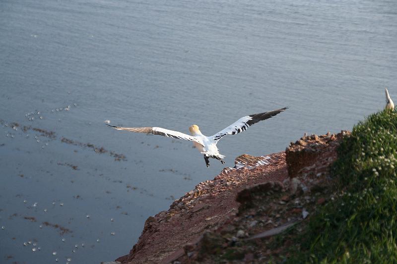 50DP-2009-015 Bild018.JPG